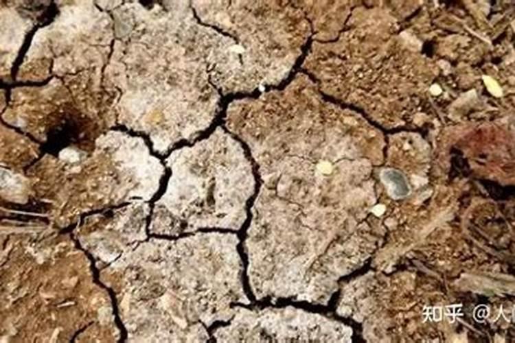 苹果树挂果量大八月追肥用怎样配比的硫酸钾复合肥好