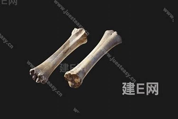 磷肥有哪些种类以及作用