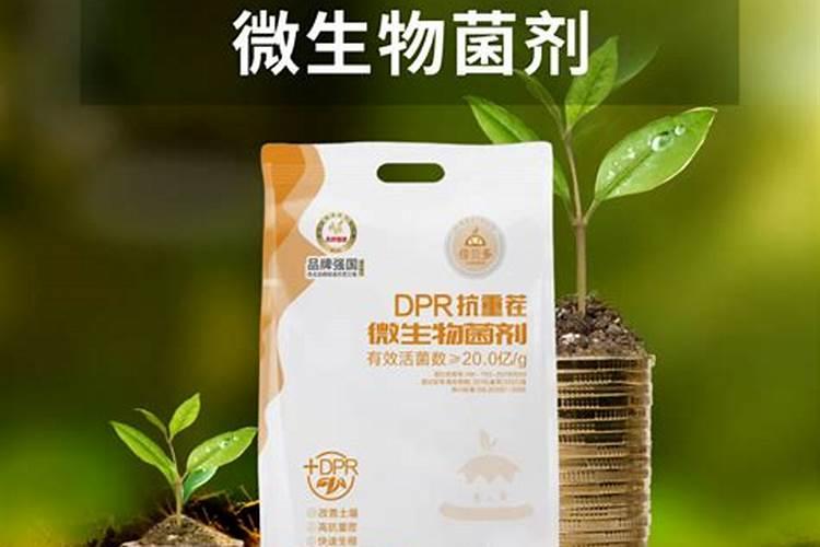 大蒜底肥最佳配方