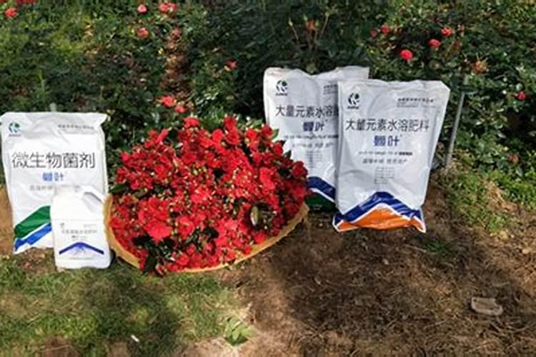 钾肥过量有什么危害科学施肥