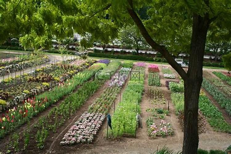 水溶肥的前十名水溶肥厂家有那些水溶肥的前十名