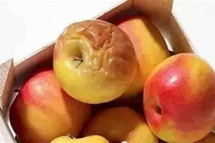 烂水果可以直接埋土里做肥料吗