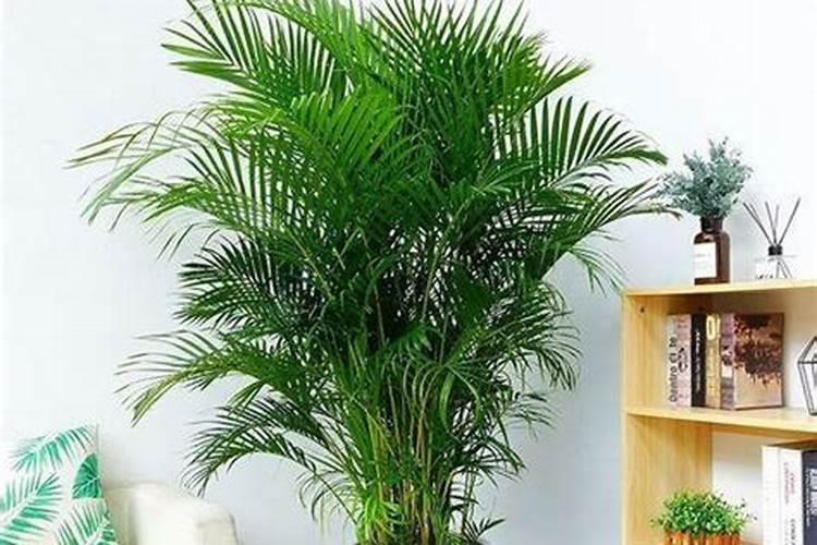 花生没有施底肥,只打叶面肥行吗？