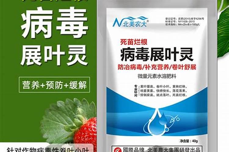 樱桃黄叶病用什么药效果好