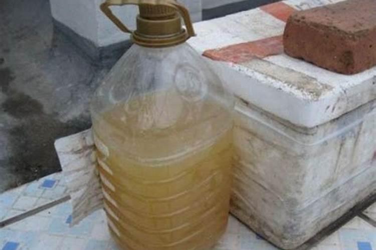 饼肥水发酵多久可以用