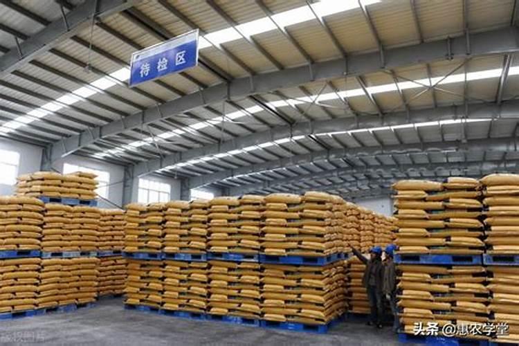 麦子用什么施肥长得快 施肥要点有哪些