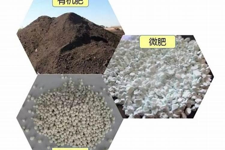 水稻一亩打多少L农药水 要使用哪些农药？