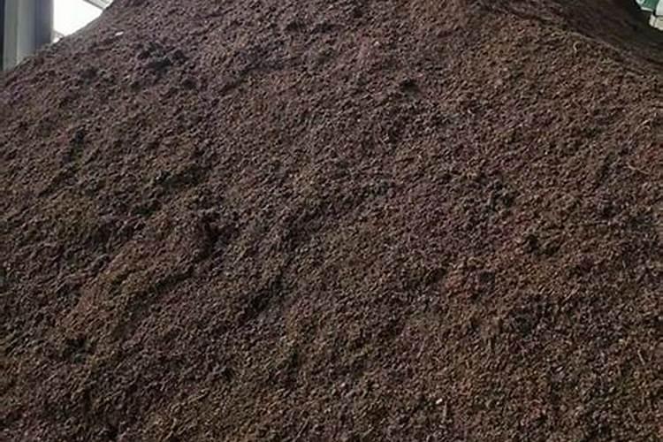 园林养护下完雨打什么药