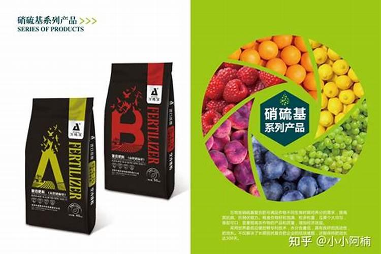 什么鱼蛋白质含量高？