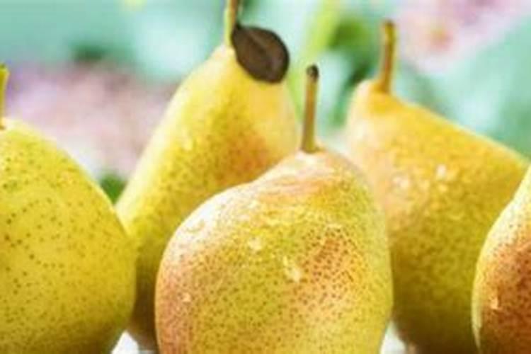 西红柿上色期应该施什么元素肥料？