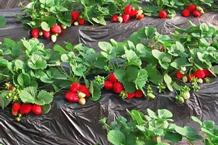 液氮罐,在市场最便宜液氮罐才厂家是哪家？ 天驰公司的液氮罐价格相当便宜...