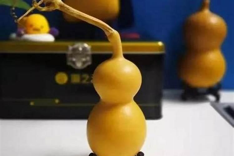 文玩葫芦如何种植方法？