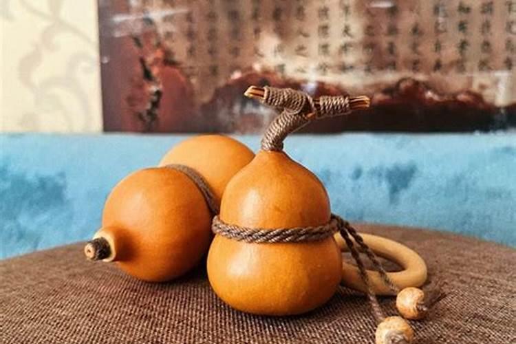 文玩葫芦怎么种植管理