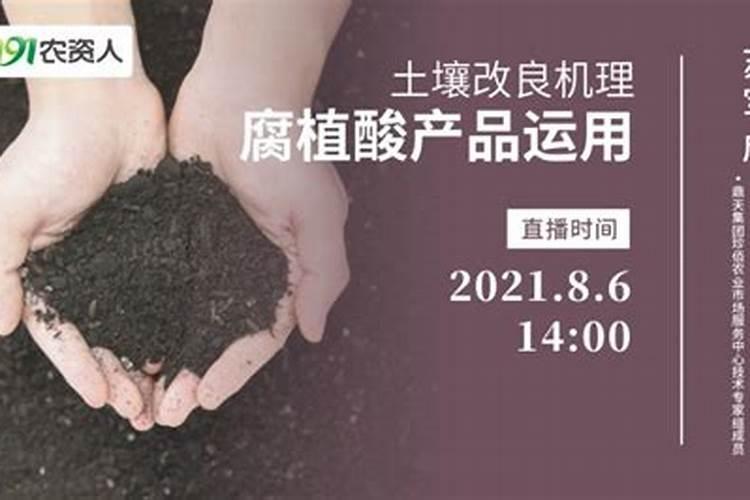 种大蒜什么肥料好