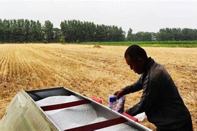 尿素能当水溶肥吗