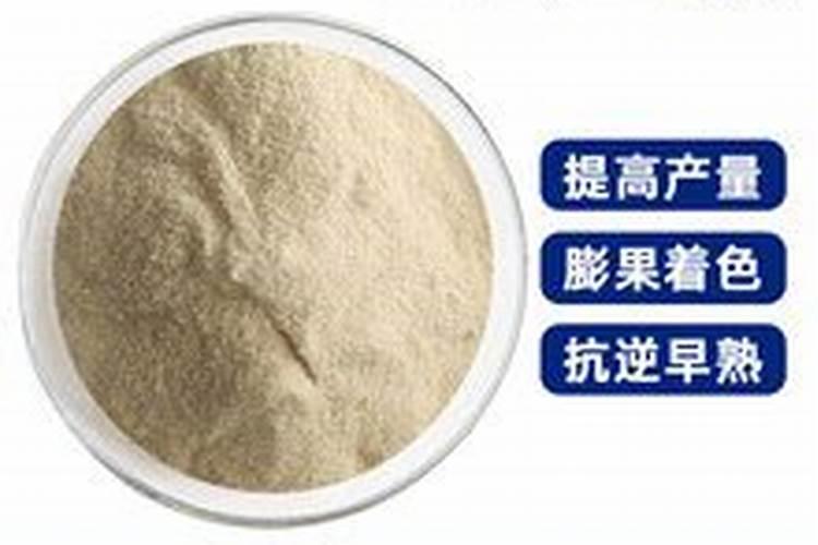 海洋神速效型有机肥是什么