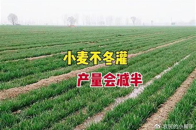根瘤菌固氮原理是什么？