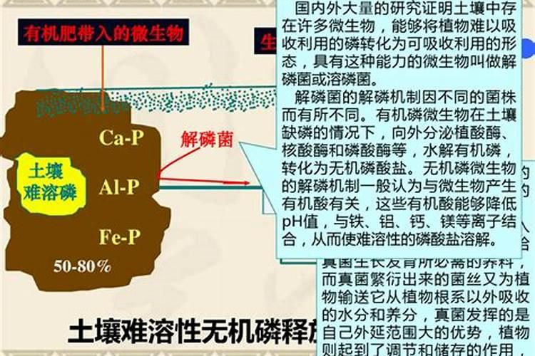 碱性肥料是哪些？碱性肥料又是什么意思？
