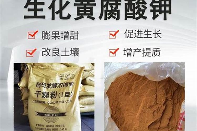 苹果树打药时间与用药方法