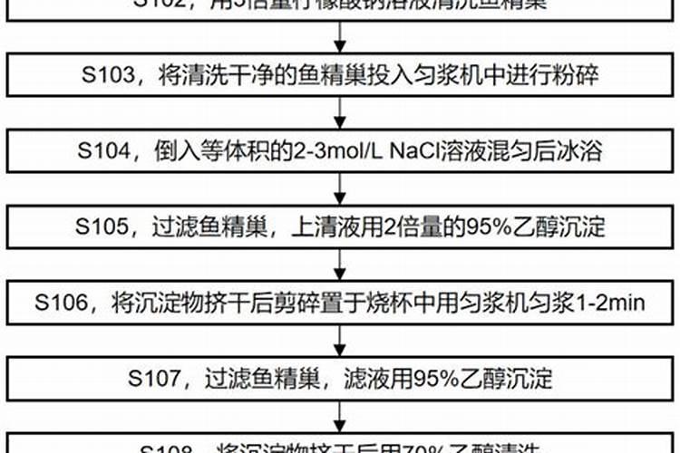 蛋白粉和胶原蛋白之间有什么区别？