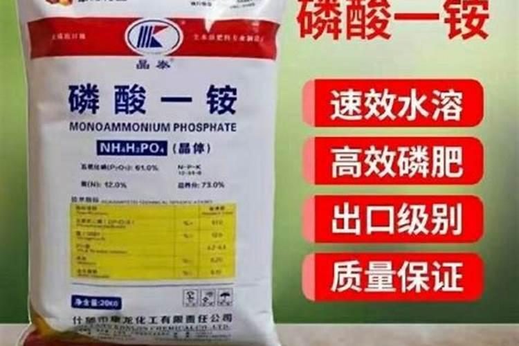 兰花适合用什么肥料