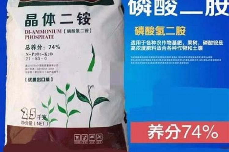 木美土里有机肥能直接接触根系吗？