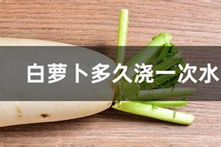 想要萝卜长得好,具体的施肥标准是怎样的？