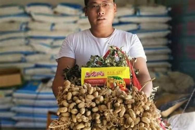 磷肥能改善土壤板结吗