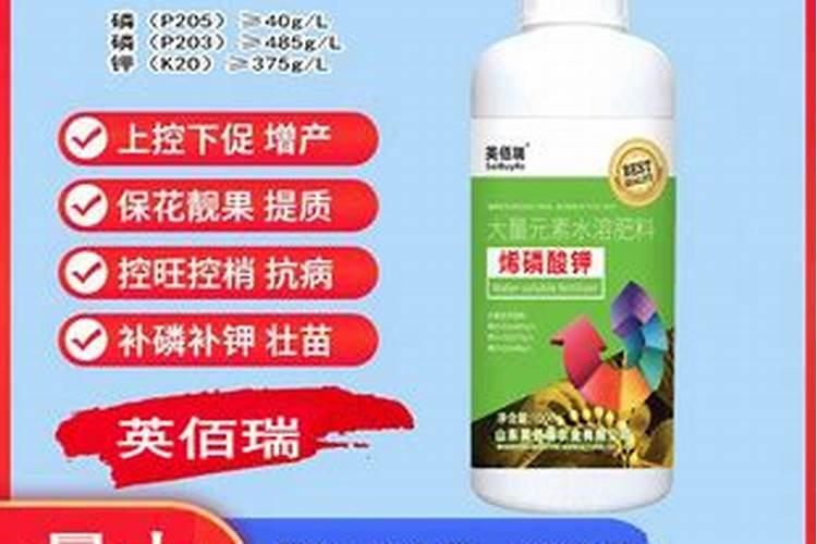 一盆月季施几粒复合肥、玫瑰月季适合施什么肥