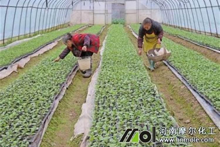 水溶肥,含量配比怎么计算,,,如201030怎么配