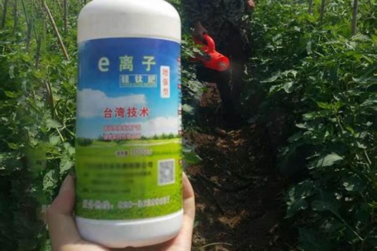 桃树膨大期专用增产叶面肥料？桃树结果期用哪种水溶肥效果好？