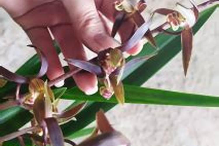 富硒食品如何选购