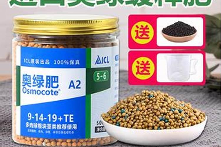 君子兰用奥绿缓释肥哪个型号