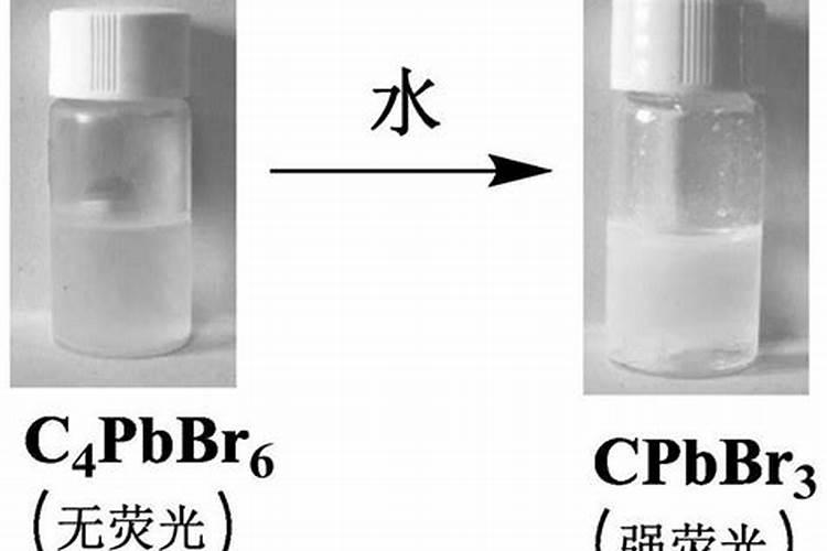 西梅膨果用什么化肥好？施肥是有哪些注意事项？