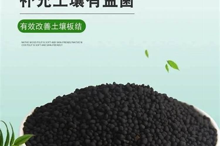 大棚葡萄冬季栽培与管理方法