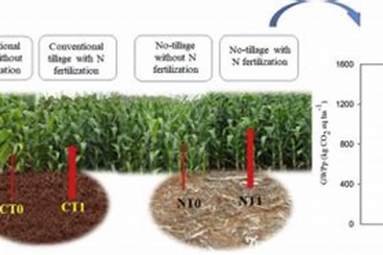 液体钙能放冰箱吗 可以把液体钙放冰箱吗