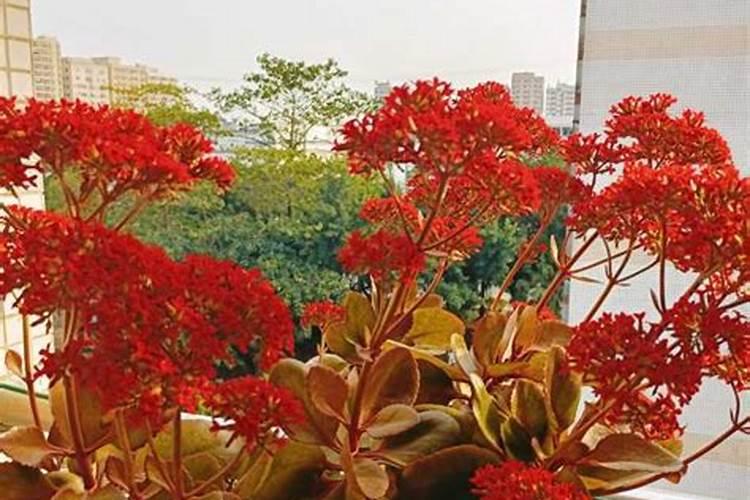 氮肥有哪些区别,怎么自制氮肥