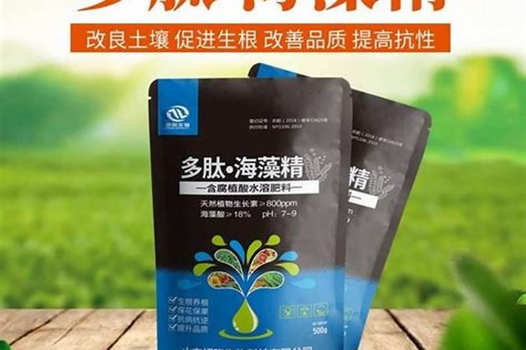 海藻精对植物的作用(肥料海藻精使农作物提早成熟提高产量)