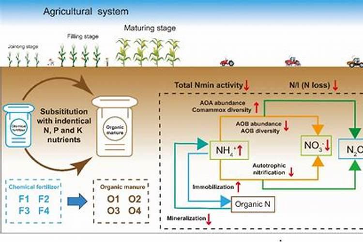 迎春花的施肥方法用什么肥料？