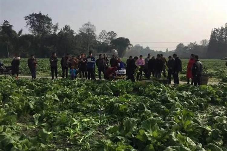 南宁市有几个农资批发市场