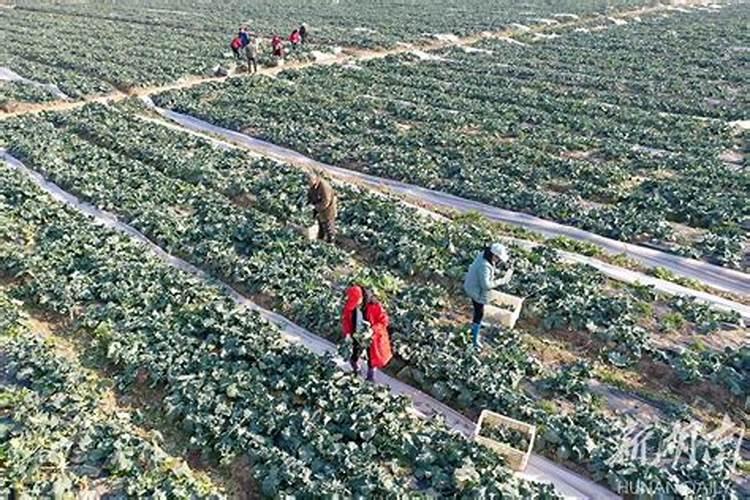 宝路卫浴怎么样？宝路卫浴价格多少？