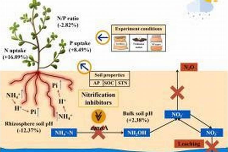 控释肥怎么辨别真假
