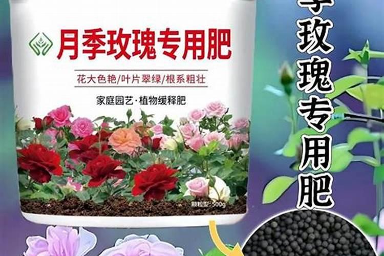 氮气无色无味,为什么氮肥有刺激性气味