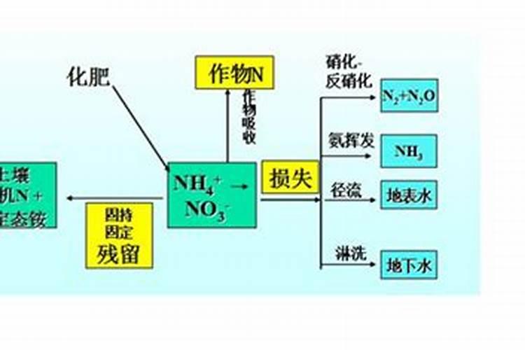 硝态氮和铵态氮的区别