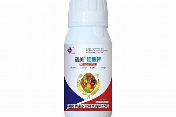 甜芦粟怎么种植方法