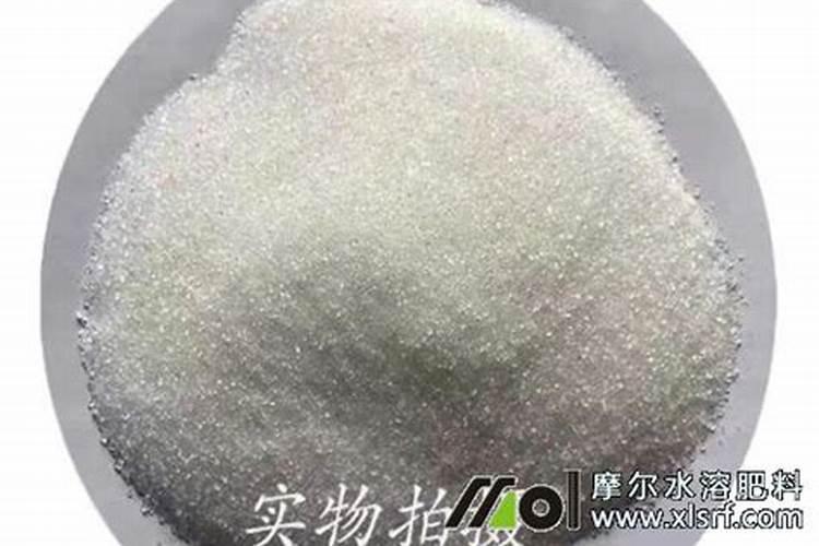 沙糖桔七月份施什么肥 沙糖桔的施肥方法