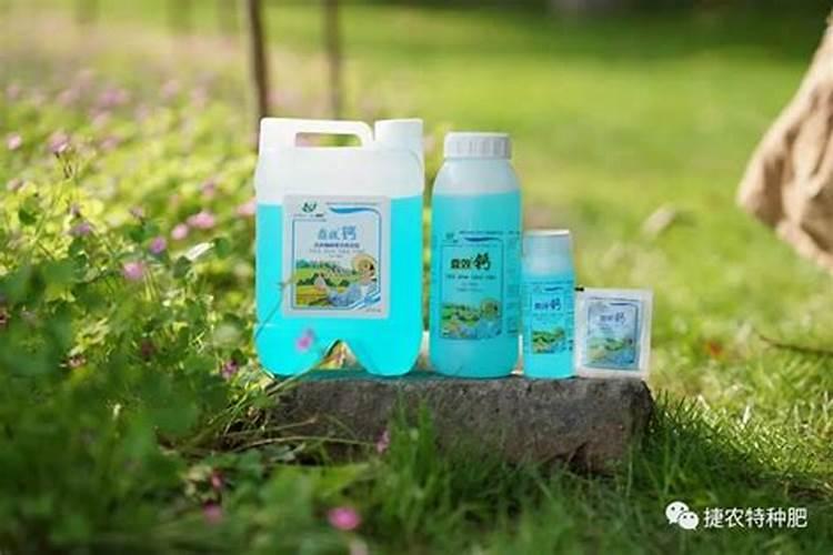 旱地玉米间作马铃薯如何进行科学施肥