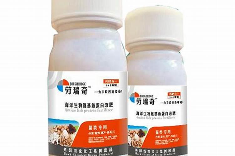 猕猴桃什么时候种植