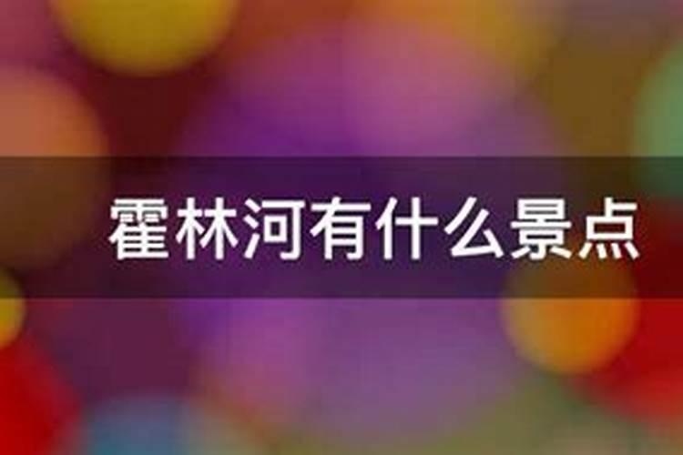 如何在内蒙古腐植酸领域有所发展