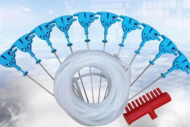 妃子笑荔枝花期的管理技术是什么？